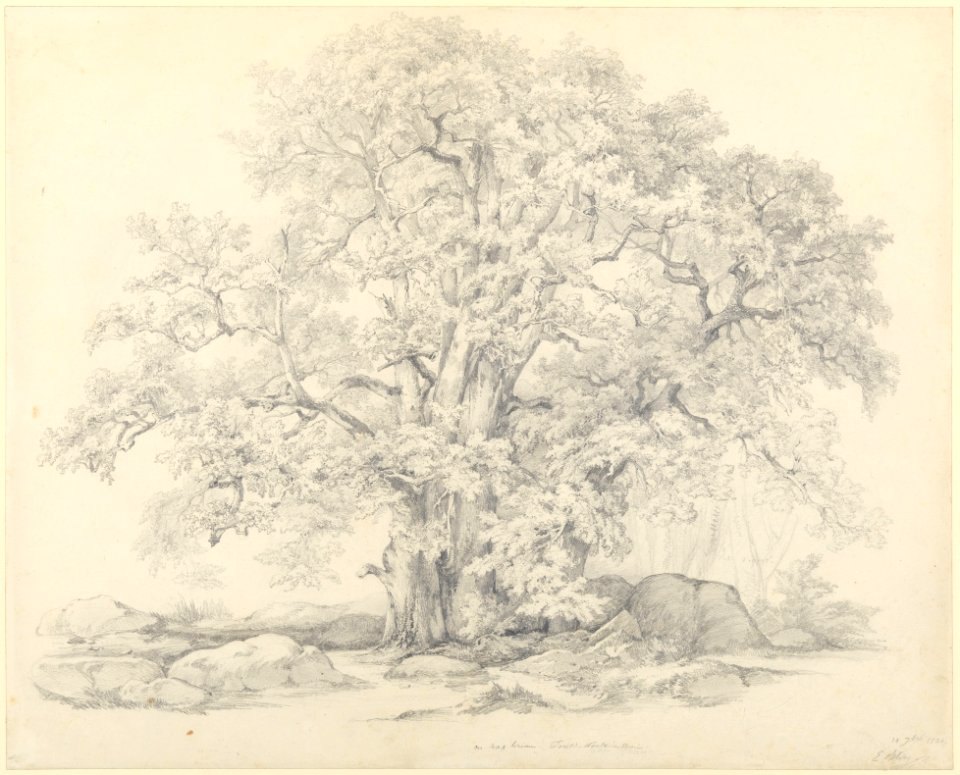 Tree and Rocks in the Forest of Fontainebleau, Eugène Blery, 1834