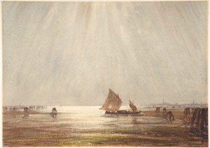 Venetian fishing boat MET DP808464