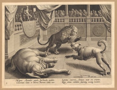 Venationes ferarum avium, piscium... MET DP221256