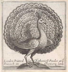 Trade card for Nathaniell Ponder, Bookseller Met DP885039