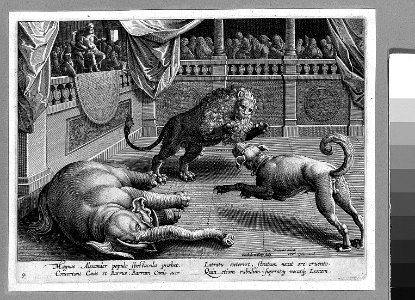 Venationes ferarum avium, piscium... MET 023.2r1 54J
