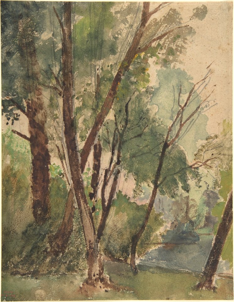 Trees Beside a Pond MET DP808071