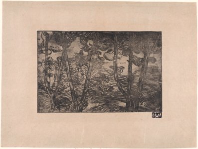 Trees at Night Met DP888808