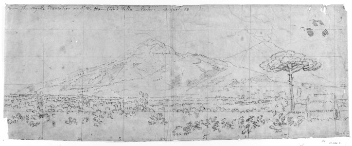 View of Vesuvius MET 3049