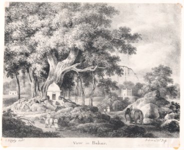 View in Behar Met DP-14648-001