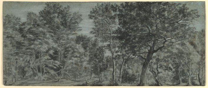 View of a Forest MET DP820039