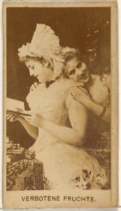 Verbotene Fruchte, from the Actors and Actresses series (N45, Type 8) for Virginia Brights Cigarettes MET DP831474