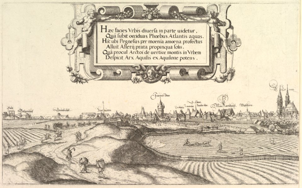 View of Nuremberg, to the east, left plate MET DP823297