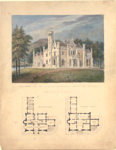 Villa for Robert Donaldson, Fishkill Landing, New York (perspective and plans) MET DP169712