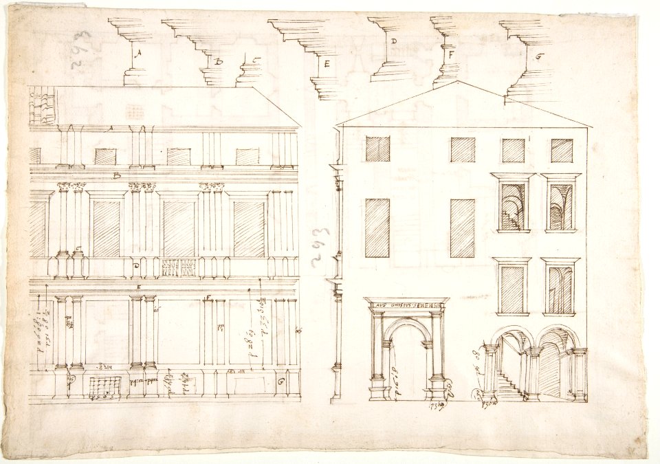 Villa Farnesina, Stables, half front elevation and end elevation (recto) Palazzo Salviati-Adimari, plan (verso) MET DP810640
