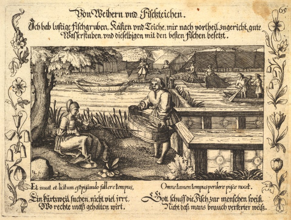Von Weihern und Fischteichen, illustration from Petrarch, Glück und Unglück Spiegel, figure 65 MET DP828512