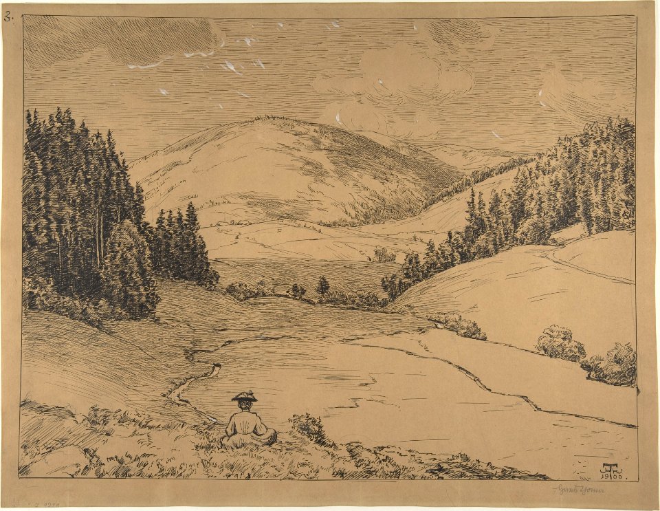 View in the Black Forest (Valley near St. Blasien) MET DP805895