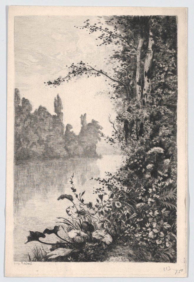 View of Flowers and Trees along a River Bank MET DP874286