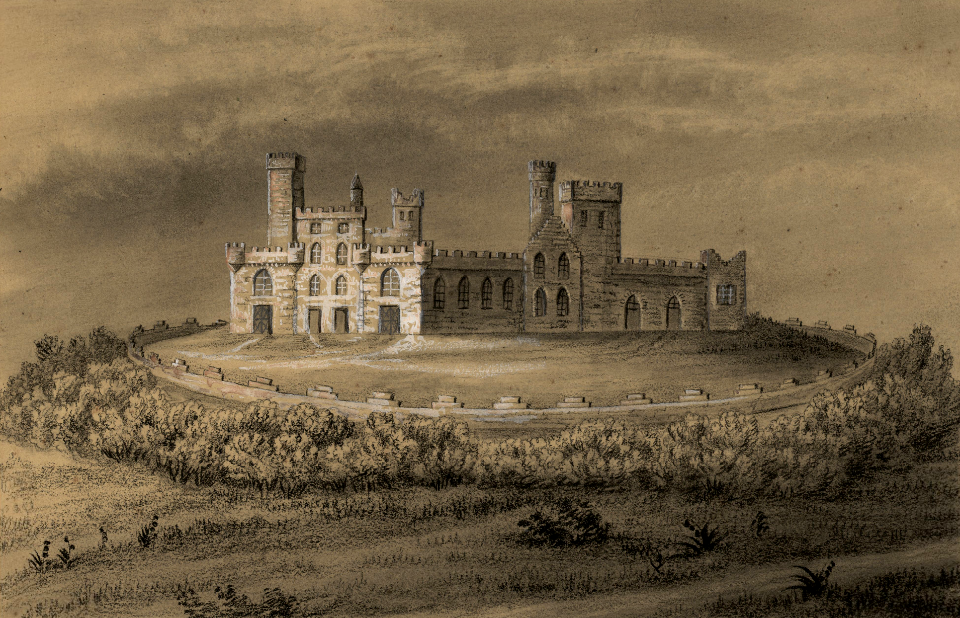 DV405 no.251 Coleman's Castle