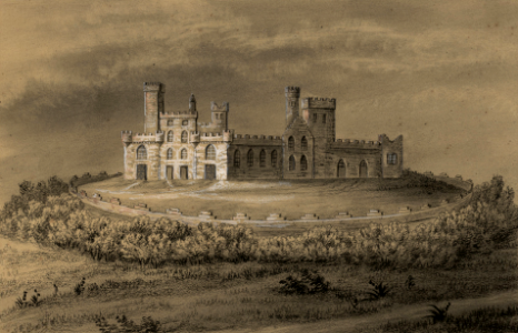 DV405 no.251 Coleman's Castle
