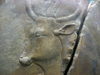 Head of Hathor