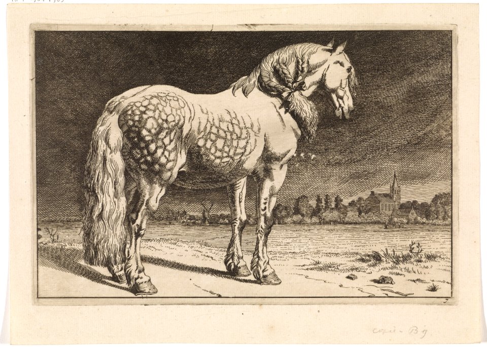 Het Friese paard Paarden (serietitel), RP-P-1904-1962