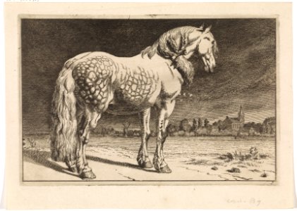 Het Friese paard Paarden (serietitel), RP-P-1904-1962