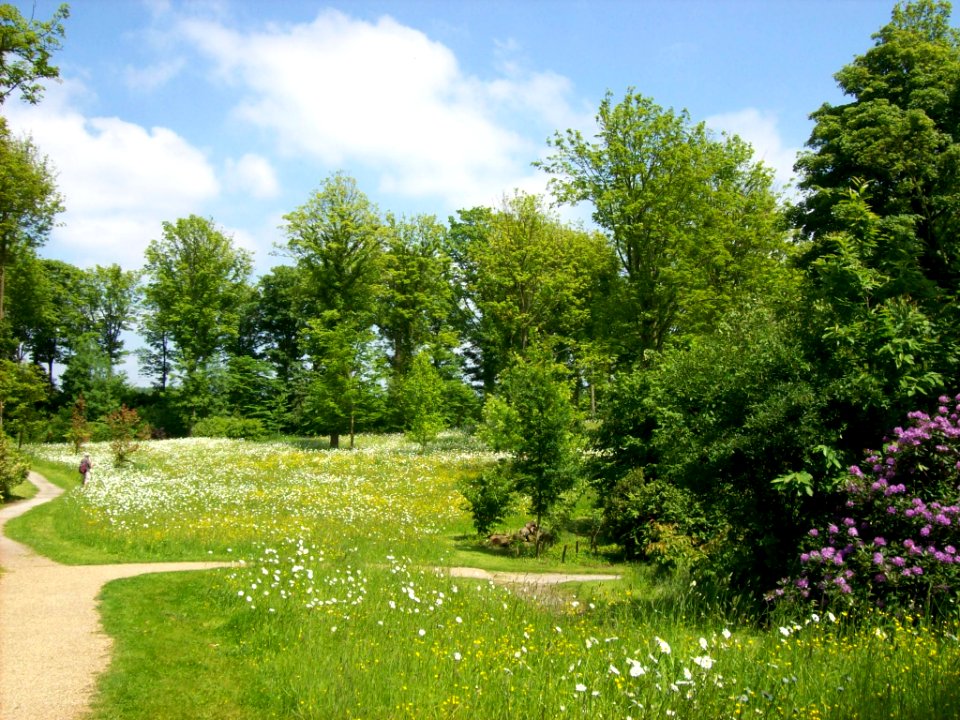 Wilderness Garden, Witley Court