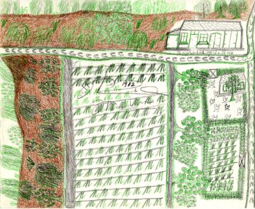Tekening marinus vlemmix (34) baarschot op de hees