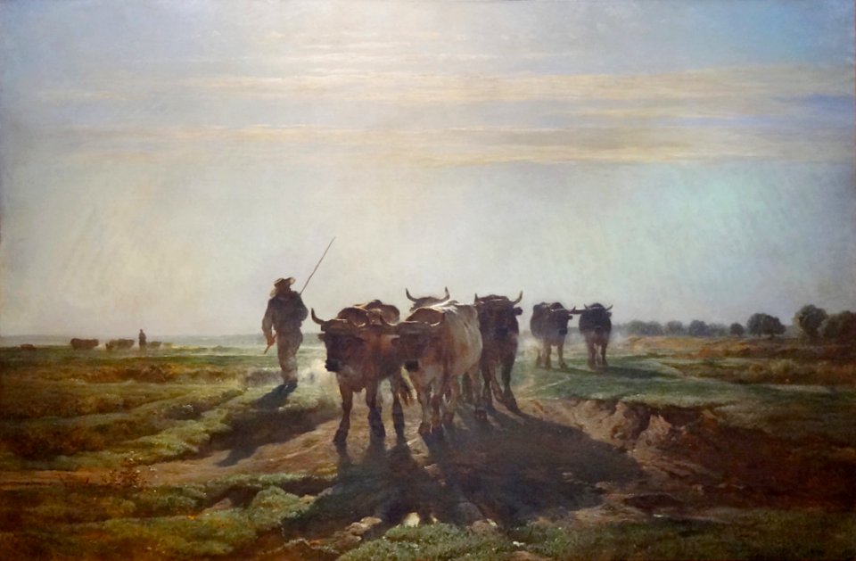 "Boeufs allant au labour, effet de matin", Constant Troyon…