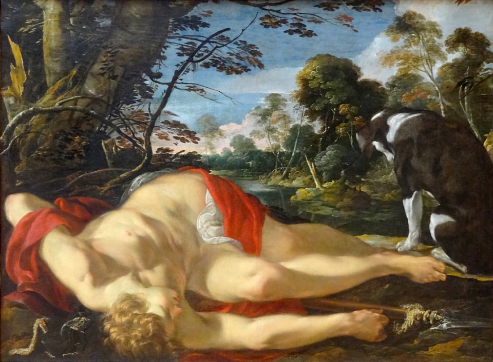 "Adonis mort", Laurent de La Hyre, vers 1624-1628. Musée d…