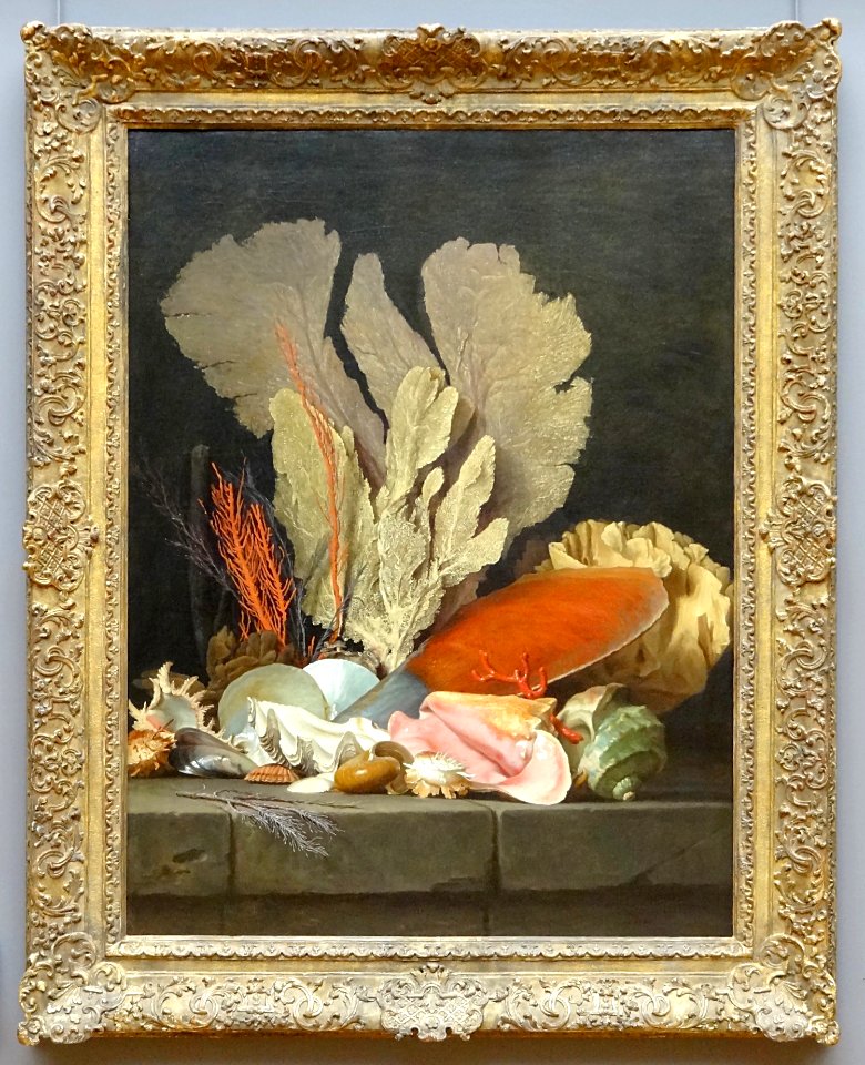 "Panaches de mer, lithophytes et coquillages", Anne Vallay…