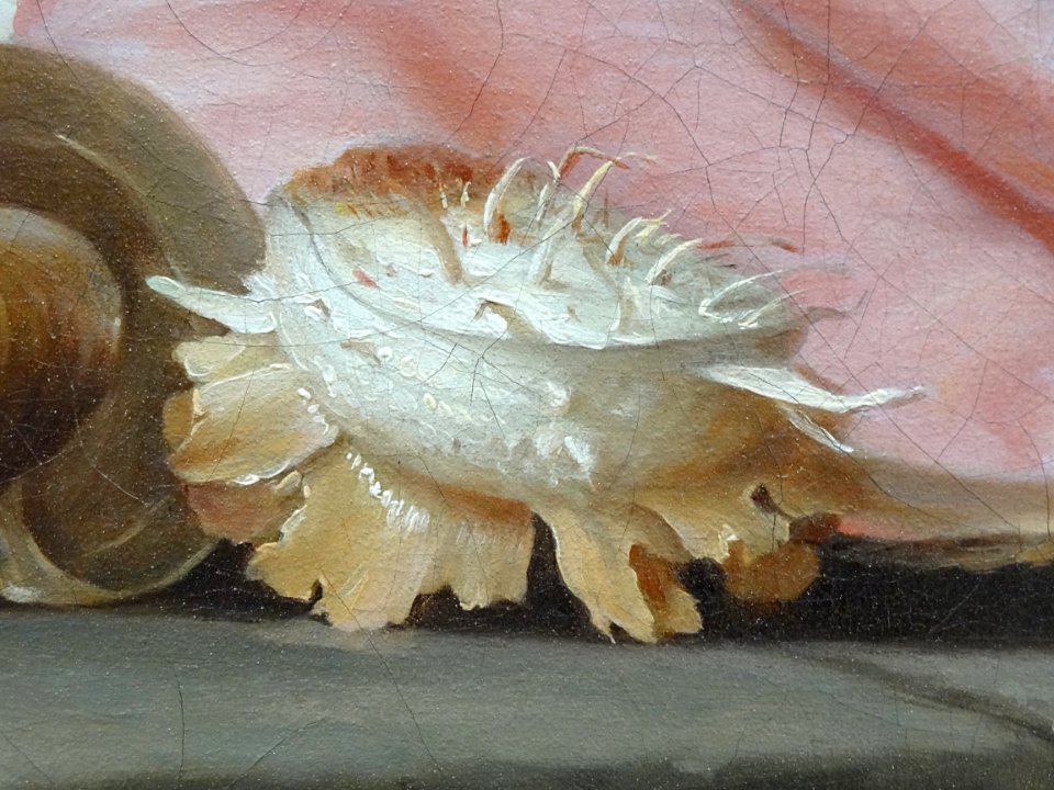 "Panaches de mer, lithophytes et coquillages", Anne Vallay…