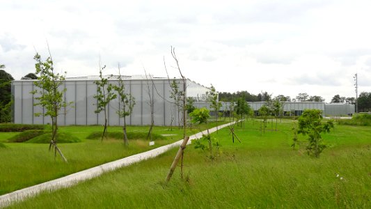 Le Louvre Lens.