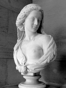 "Sarah", Joseph-Michel-Ange Pollet, 1857. Palais des beaux…
