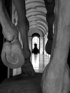 Au palais des beaux-arts de Lille, la statue représentant …