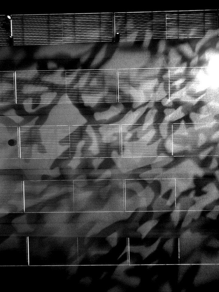 Louvre Lens, exposition "Dansez, embrassez qui vous voudre…