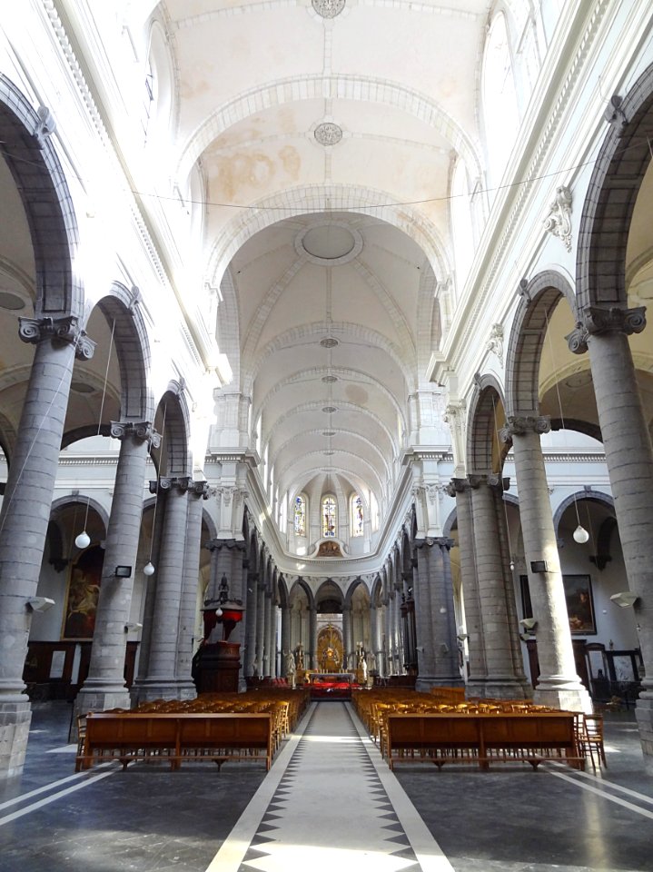 Une vue de la nef et des voûtes de la collégiale Saint-Pie…