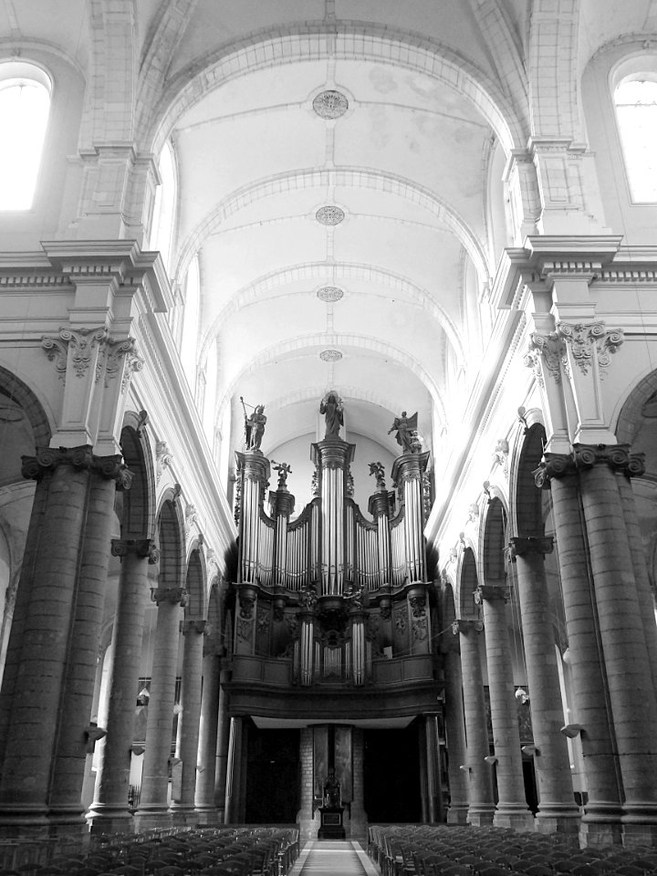 Une vue du grand orgue de la collégiale Saint-Pierre de Do…