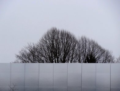 Un pan de façade du Louvre Lens et quelques-uns des arbres…