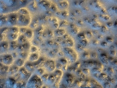Détail d'une oeuvre de Catherine Zgorecki présentée dans l…