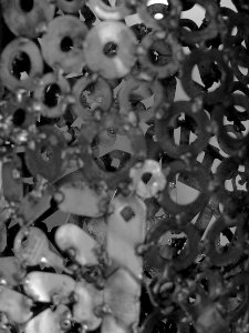 Détail de "Gaïa", de Mezz. Exposition "Jardins secrets", C…