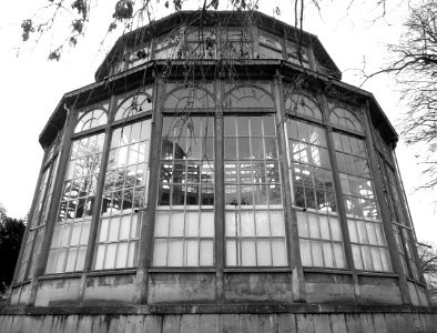 Serre du Palais Rameau, à Lille.