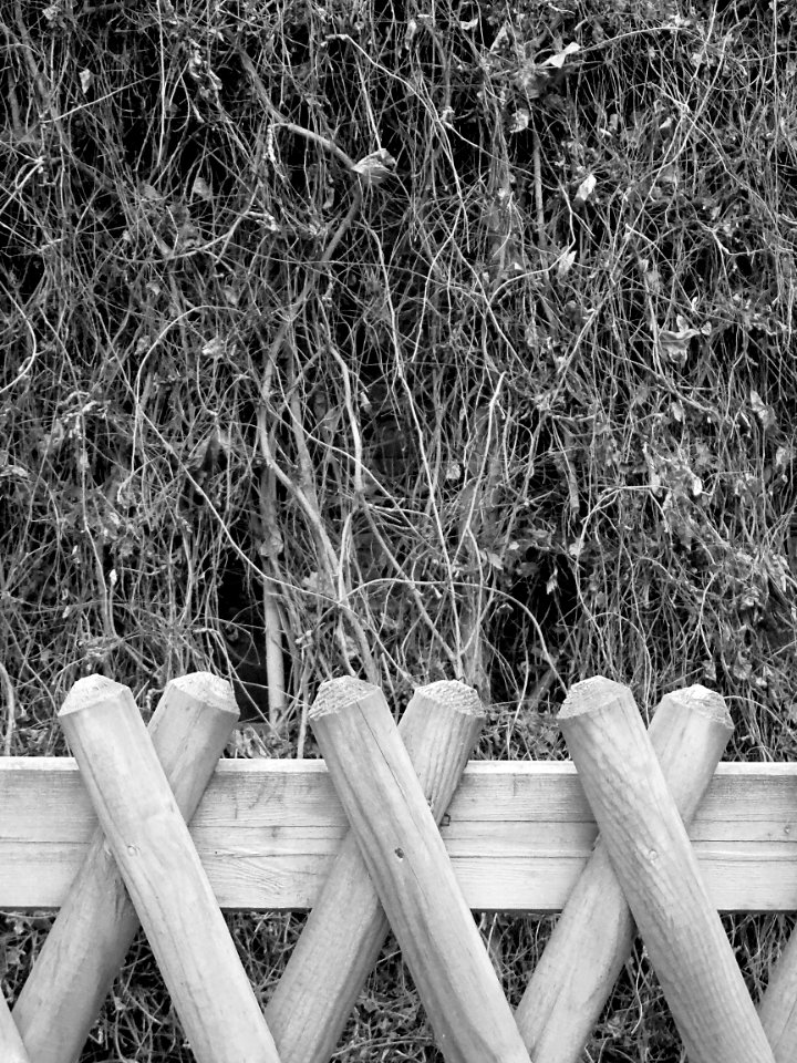 DSCN0432 - Copie