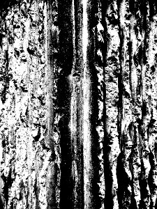 DSCN9549 - Copie