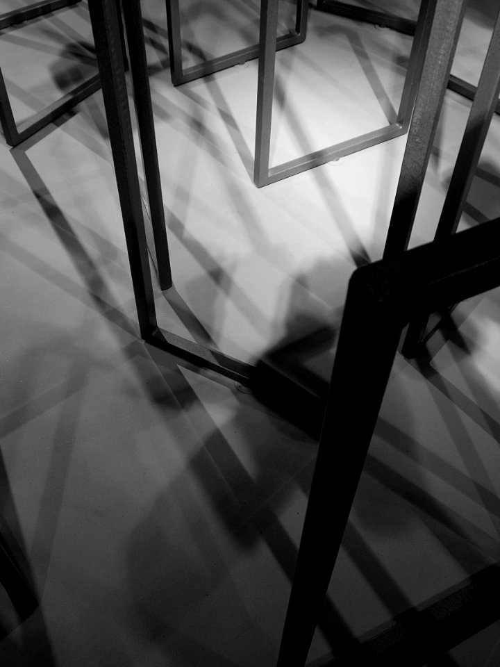 Portants et ombres portées. Musée de l'Hospice Comtesse, L…