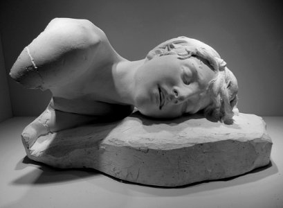 "Pro Patria", Emile-Edmond Peynot, 1884.