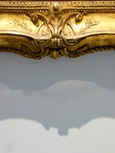 D'art et d'ombre.
