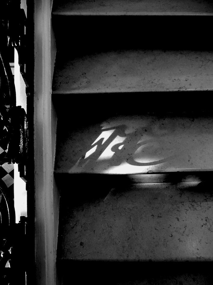 Dans l'escalier d'honneur