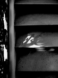 Dans l'escalier d'honneur