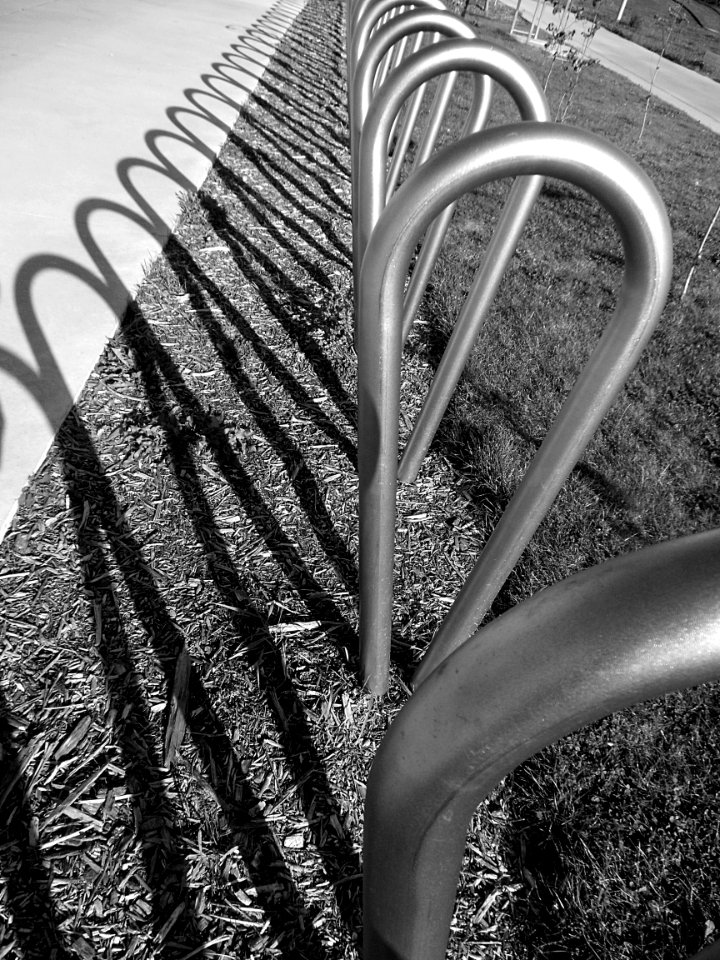 Dans le parc du Louvre Lens.