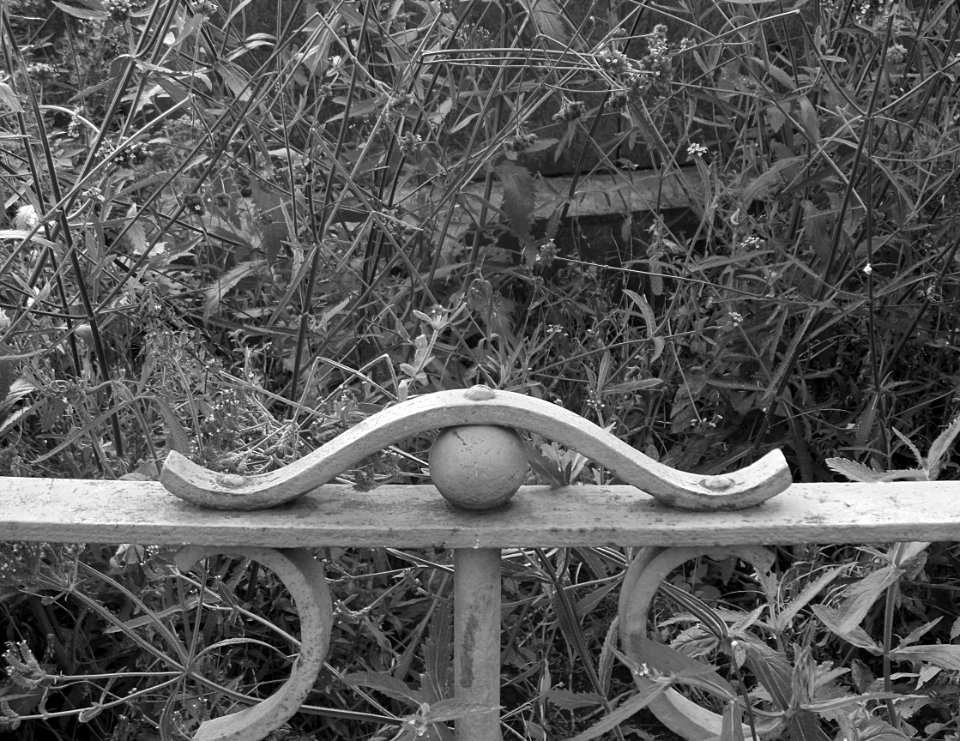 DSCN2418 - Copie