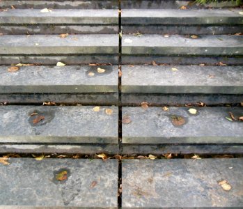 DSCN0443