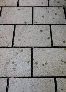 DSCN0377