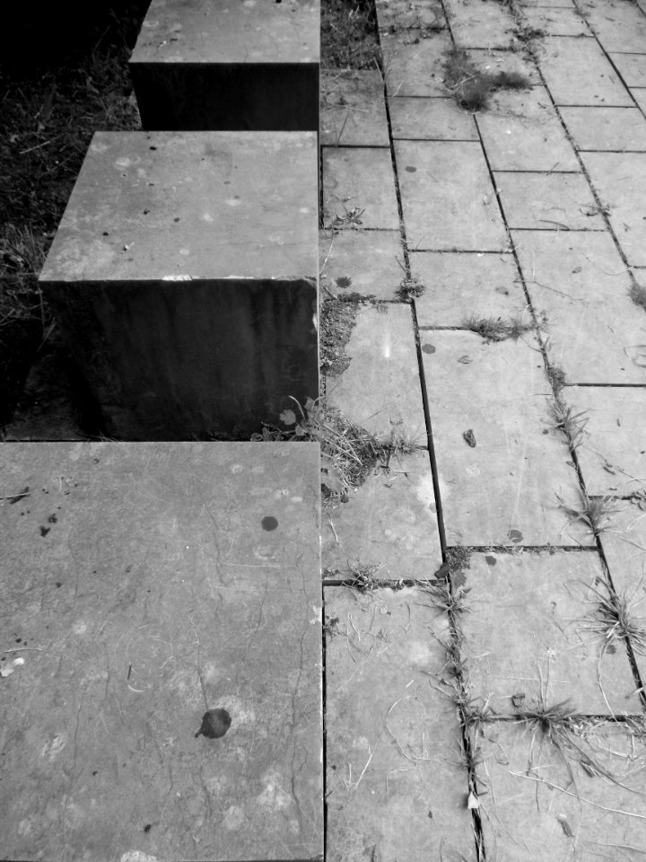 DSCN0346 - Copie